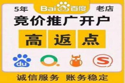 实战解析：SEM竞价策略优化案例